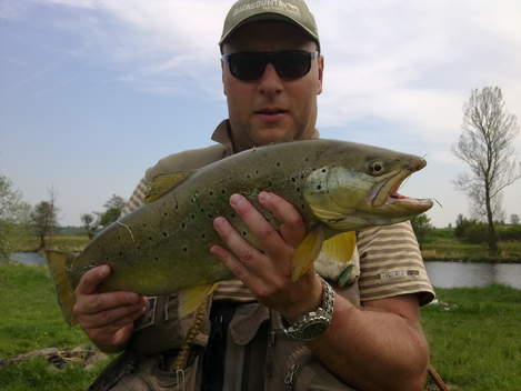 Pstruh obecný, 61 cm, 2.8 kg