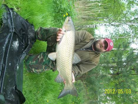 Amur bílý, 103 cm, 16 kg