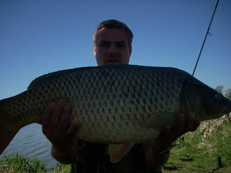 Kapr obecný, 83 cm, 10 kg