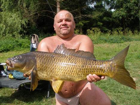 Kapr obecný, 81 cm, 11 kg
