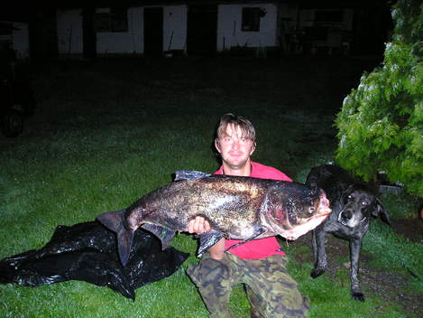 Tolstolobec pestrý, 105 cm, 18 kg