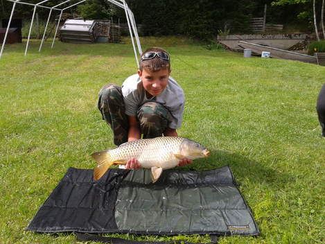 Kapr obecný, 83 cm, 7.3 kg