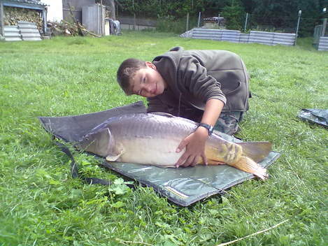 Kapr obecný, 98 cm