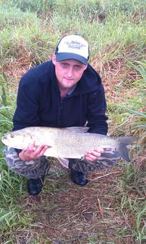 Bolen dravý, 73 cm, 5 kg