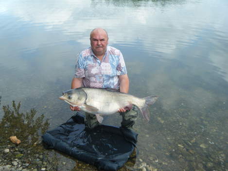 Tolstolobik bílý, 105 cm, 20.06 kg