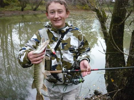 Štika obecná, 54 cm, 1.05 kg
