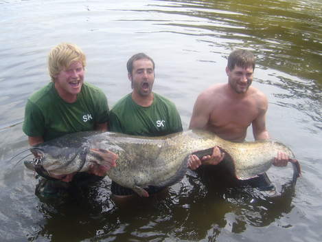 Sumec velký, 211 cm, 63 kg