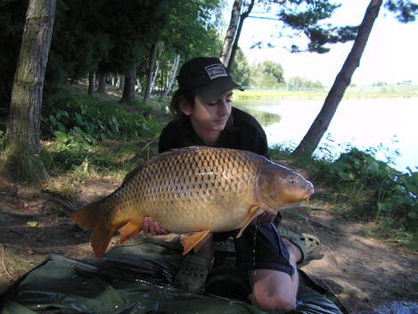Kapr obecný, 92 cm, 14.5 kg