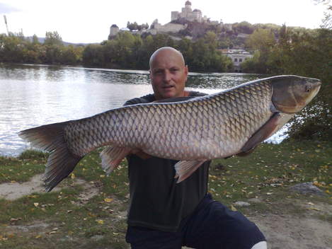 Amur bílý, 104 cm, 14 kg