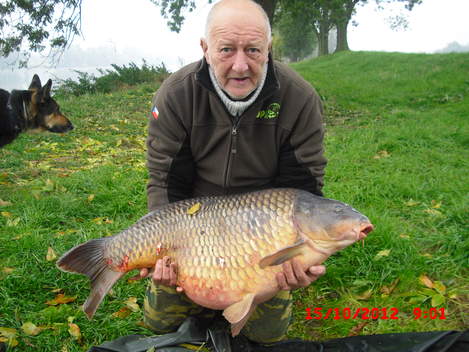 Kapr obecný, 92 cm, 21.6 kg