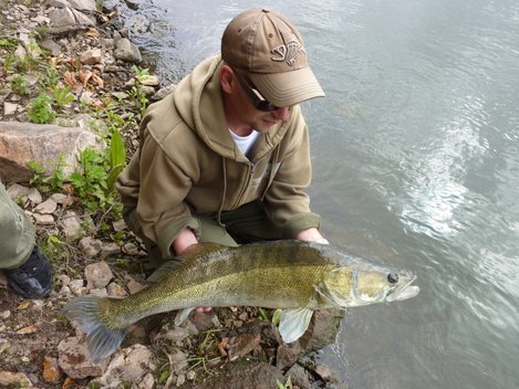 Candát obecný, 85 cm, 6.5 kg