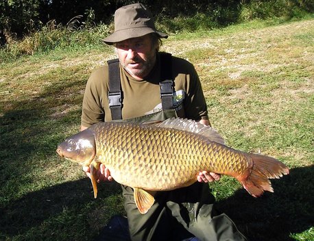 Kapr obecný, 102 cm, 23 kg
