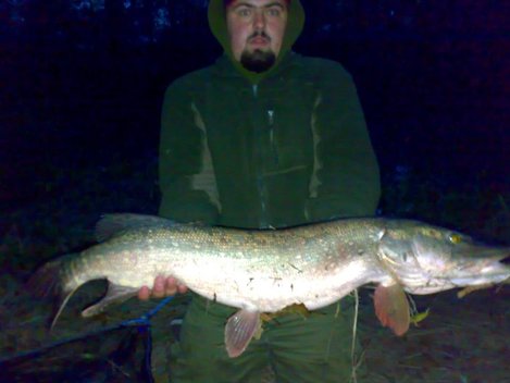 Štika obecná, 100 cm, 9 kg