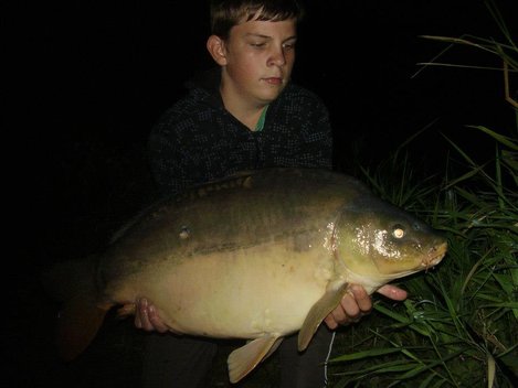 Kapr obecný, 75 cm, 13 kg