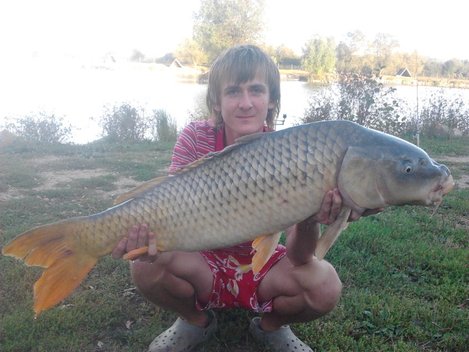 Kapr obecný, 98.5 cm, 15.65 kg