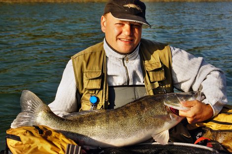 Candát obecný, 84 cm, 6.3 kg
