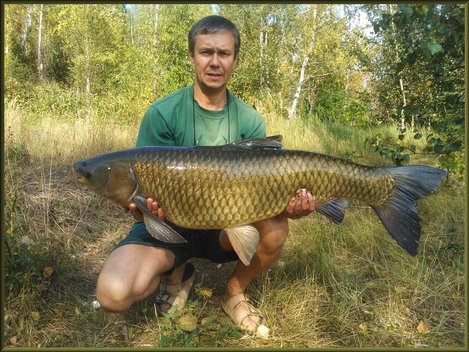 Amur bílý, 105 cm, 14.2 kg