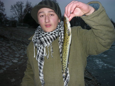 Mník jednovousý, 35 cm