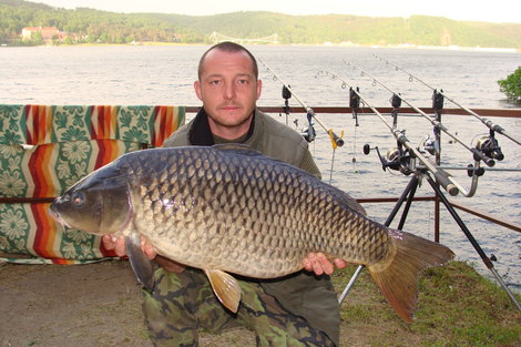 Kapr obecný, 88 cm, 15.5 kg