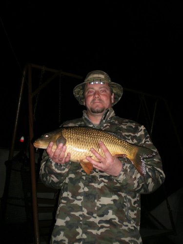 Kapr obecný, 58 cm