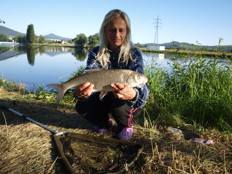 Podoustev říční, 46 cm, 1.1 kg