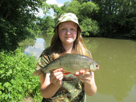 Plotice obecná, 37 cm, 0.8 kg