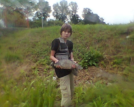 Cejn velký, 54 cm