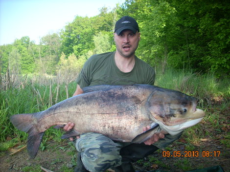 Tolstolobik bílý, 125 cm, 35 kg