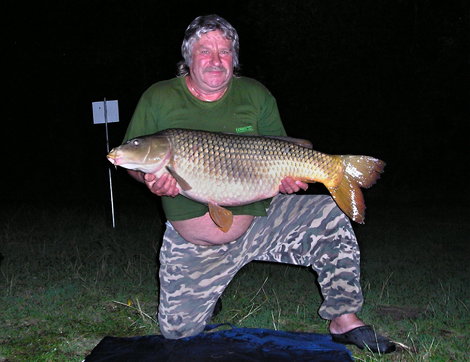 Kapr obecný, 94 cm, 18 kg