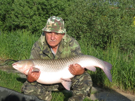 Amur bílý, 110 cm, 19.5 kg