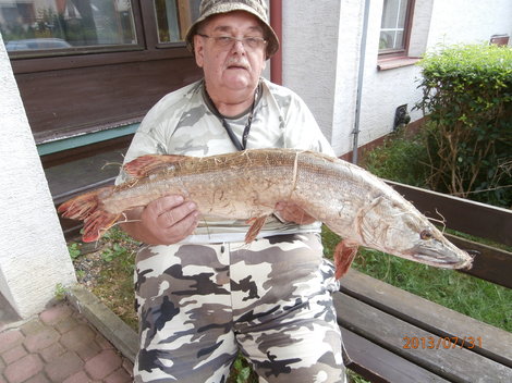 Štika obecná, 83 cm, 5.35 kg
