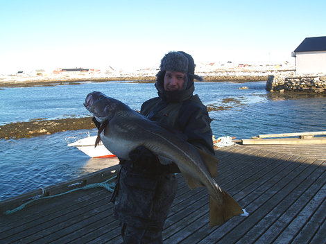 Treska obecná, 128 cm, 25 kg