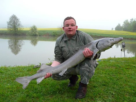 Jeseter sibiřský, 142 cm, 15 kg