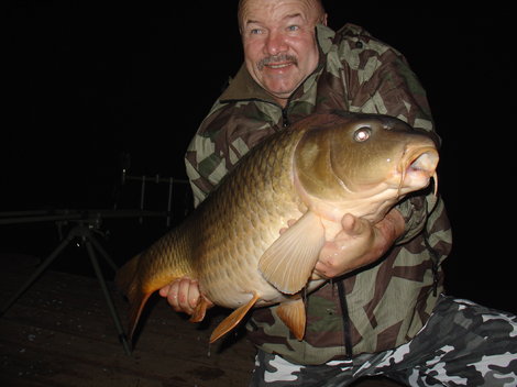 Kapr obecný, 92 cm, 16.5 kg
