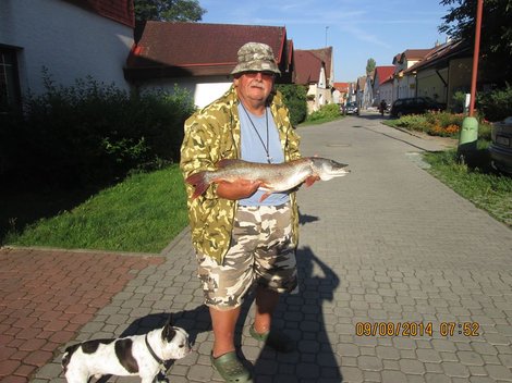 Štika obecná, 88 cm, 5.85 kg