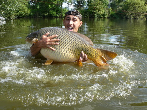 Kapr obecný, 96 cm, 19.3 kg