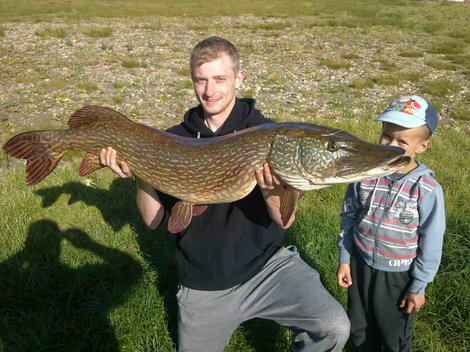 Štika obecná, 124 cm, 16 kg