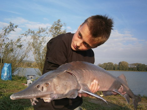 Jeseter sibiřský, 125 cm, 16.7 kg