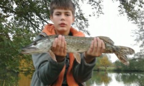 Štika obecná, 75 cm