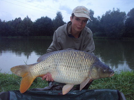 Kapr obecný, 75 cm, 11 kg