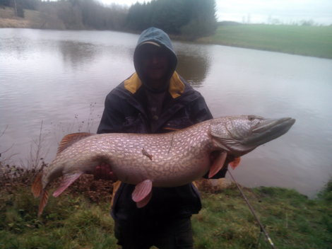 Štika obecná, 121 cm, 15.5 kg