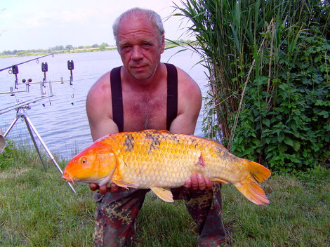 Kapr obecný, 73 cm, 10.5 kg