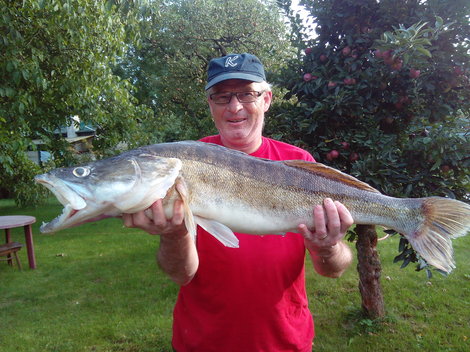 Candát obecný, 100 cm, 10.54 kg