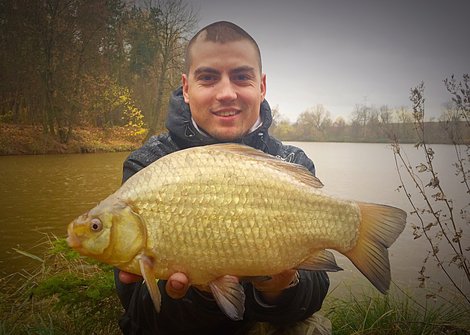 Karas obecný, 38 cm, 1.5 kg