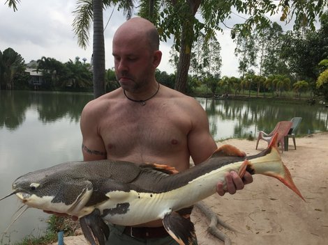 Tropické ryby, 140 cm, 25 kg