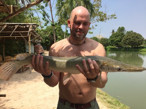 Tropické ryby, 110 cm, 3.5 kg