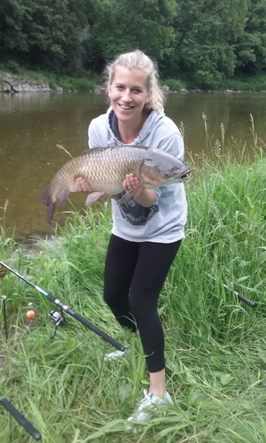 Amur bílý, 80 cm, 8 kg
