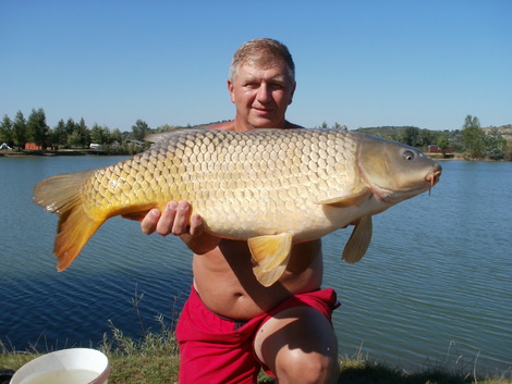 Kapr obecný, 107 cm, 22 kg