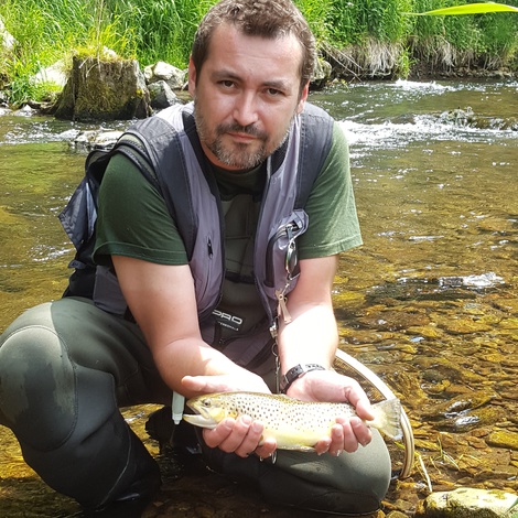 Pstruh obecný, 39 cm, 0.65 kg