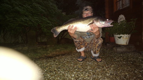 Candát obecný, 89 cm, 7.5 kg